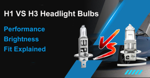 H1 VS H3.jpg