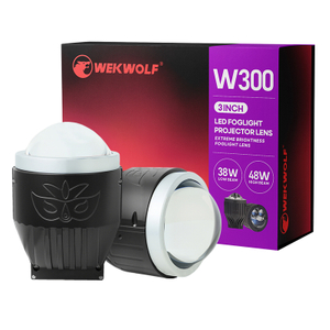 10V-30V Canbus Dome Lights T10 Led 3030 SMD Tail Light 